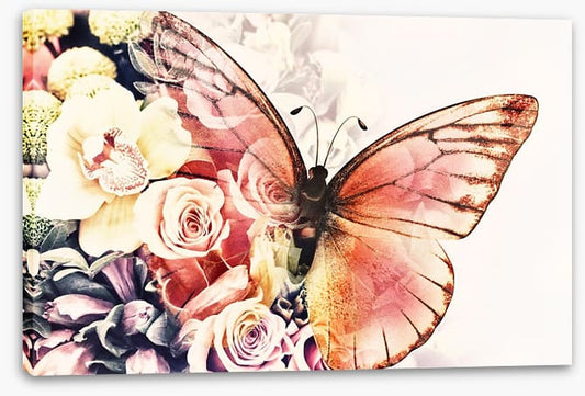 Rosy wings