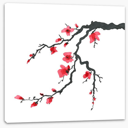 Beauty on a branch