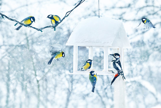 Feeding with friends