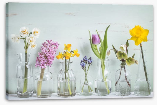 Seven days of spring
