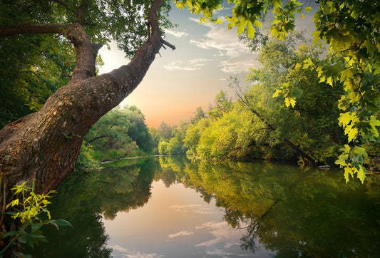 Mirror river evening