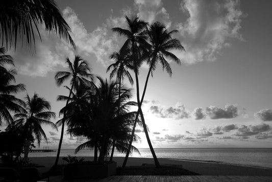 Silhouettes on the shore
