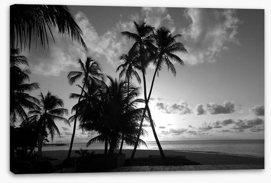 Silhouettes on the shore