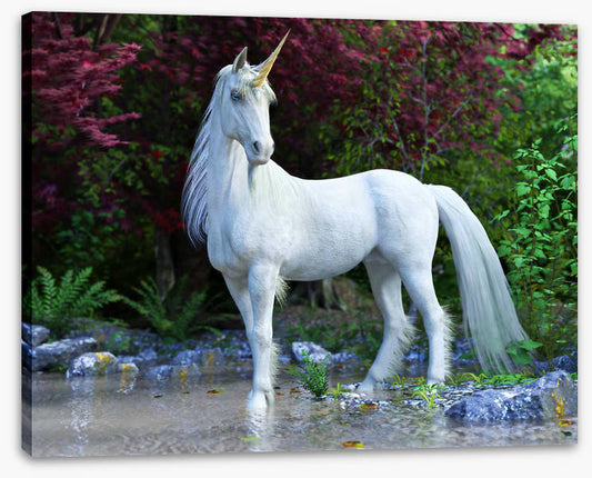 Unicorn of the glade