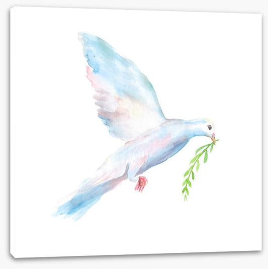 Peace offering
