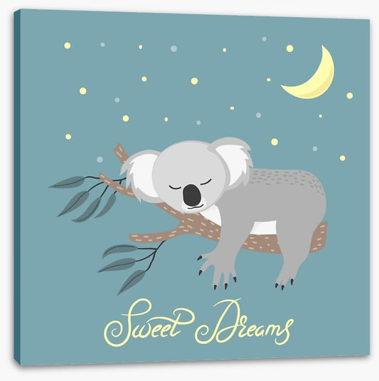 Sweet dreams koala