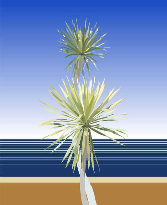 Dracaena duo