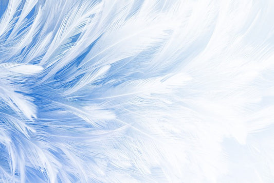 In fine feather