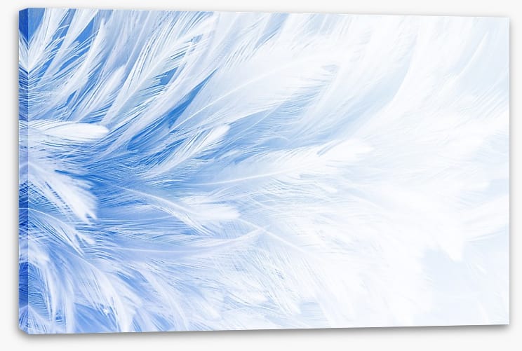 In fine feather