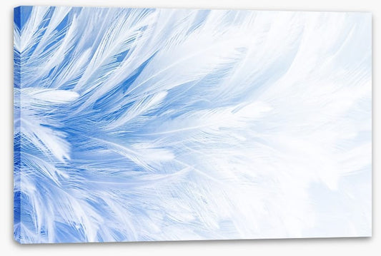 In fine feather