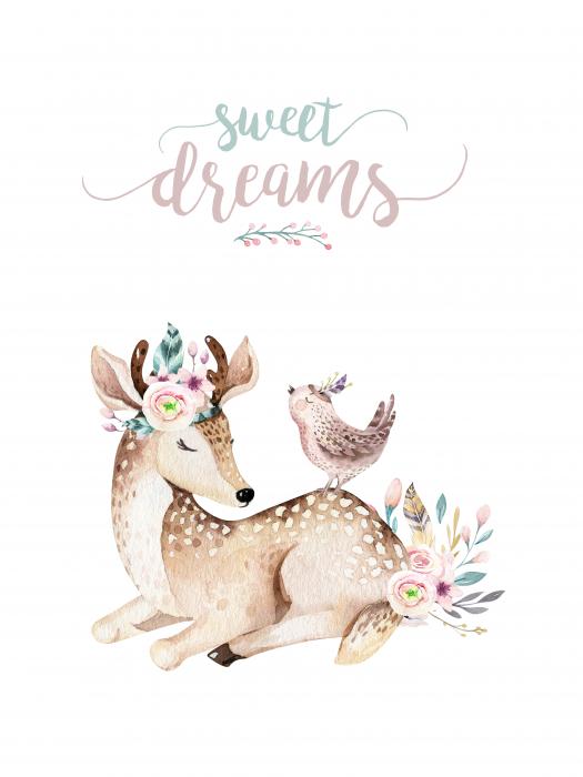 Sweet dreams deer