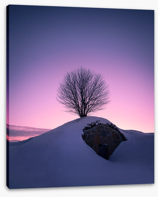 Dawning day