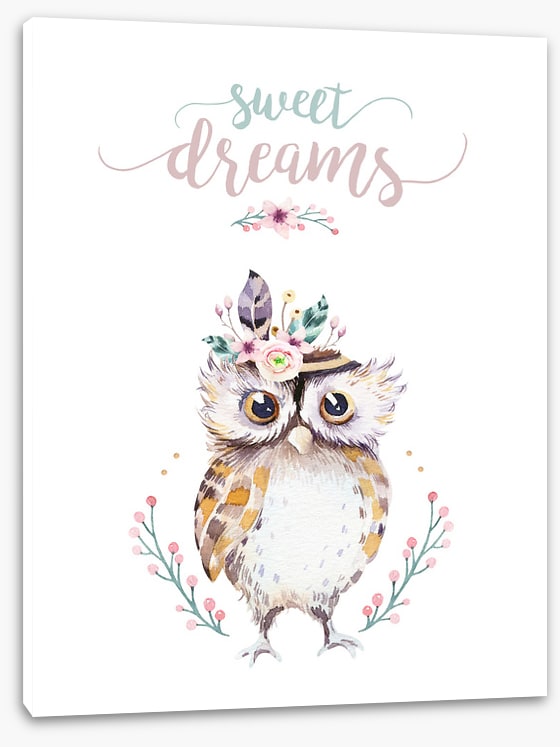 Sweet dreams owl