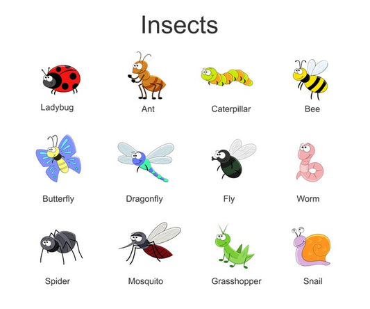 Happy Critters