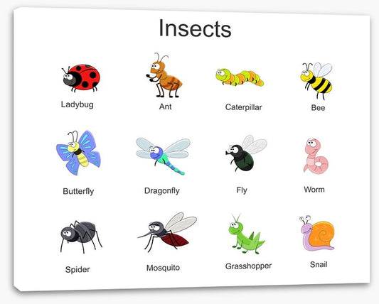 Happy Critters
