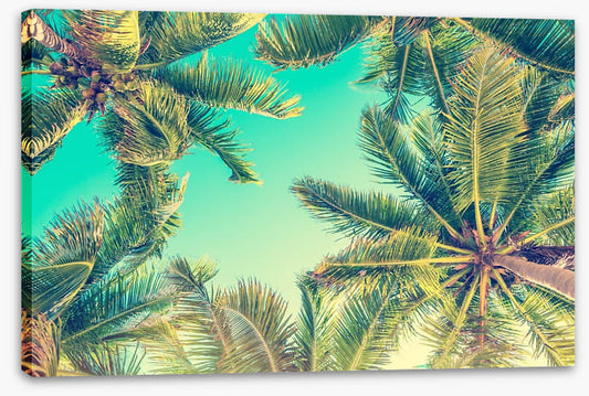 Under the palms