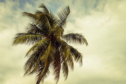 Hurricane warning
