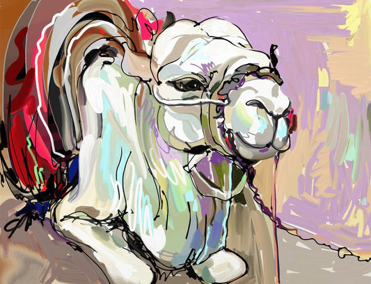 Animals