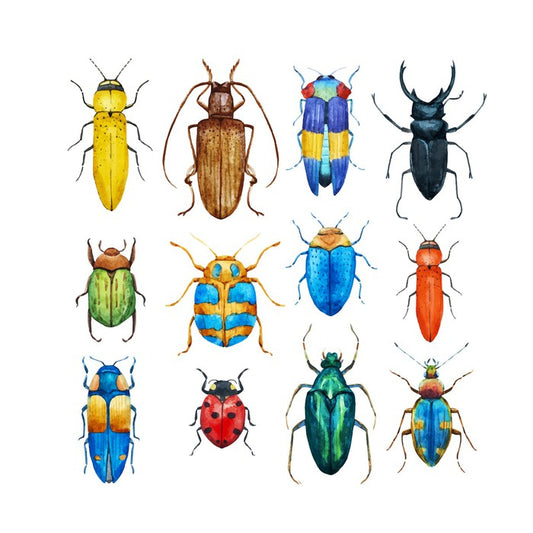 Beetle bugs