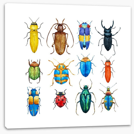 Beetle bugs