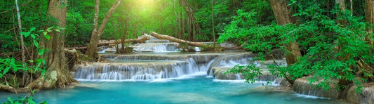 Forest falls panorama