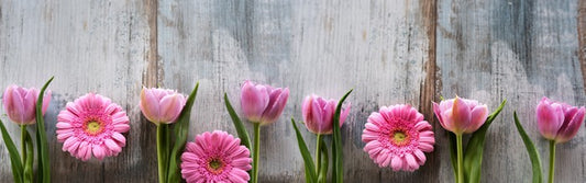 Tulips and gerbera