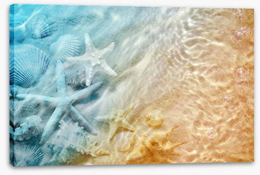 Sandy sea life