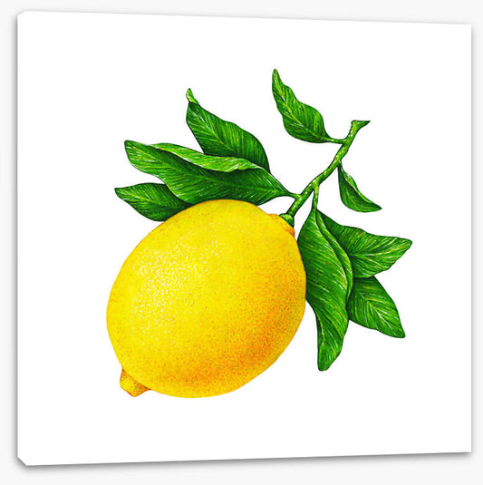 One lemon