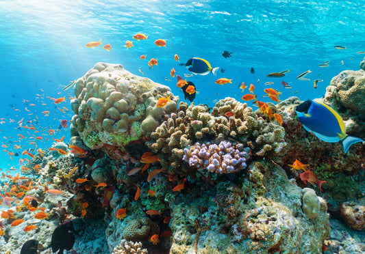 Underwater