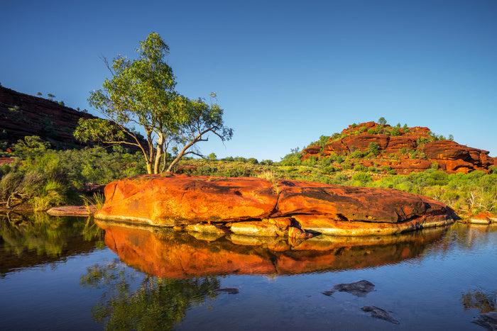 Outback oasis