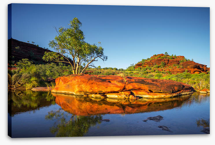 Outback oasis