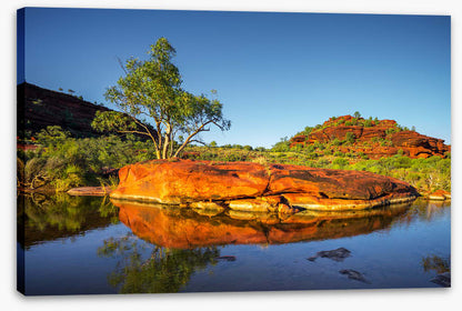 Outback oasis