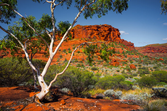 Outback afternoon