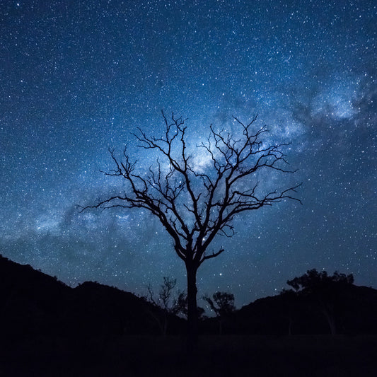 Silhouettes and stars