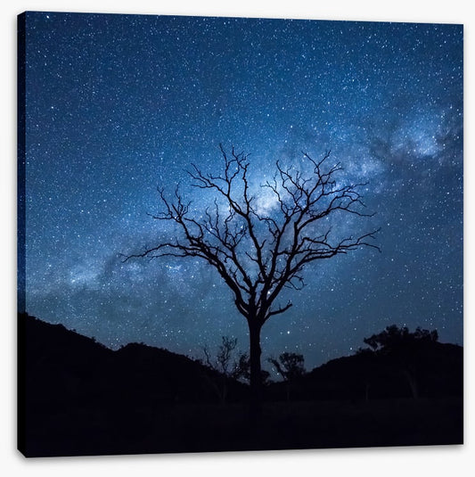 Silhouettes and stars