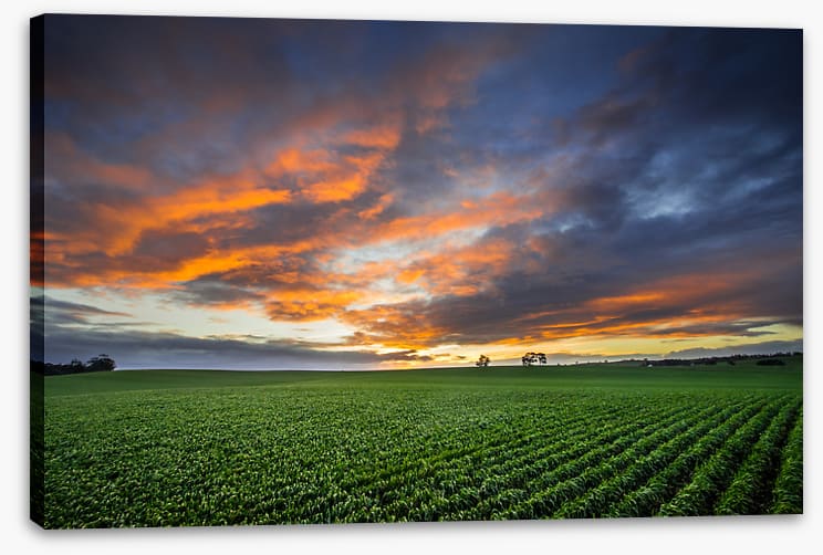 Just crops and clouds