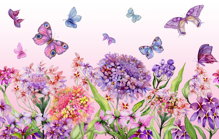 Butterflies in the iberis