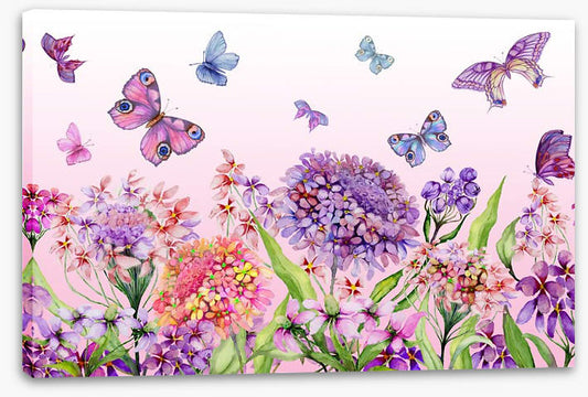 Butterflies in the iberis