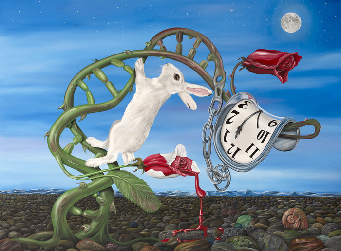 Alice meets Dali