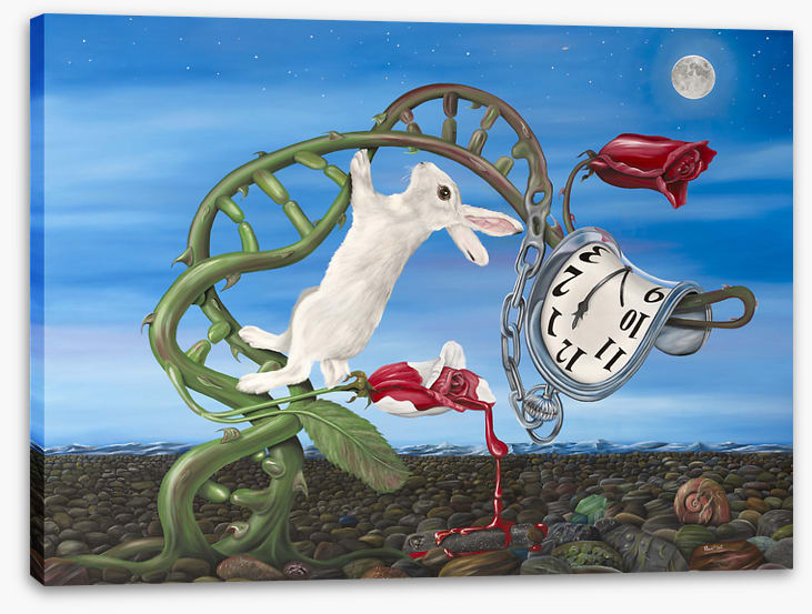 Alice meets Dali