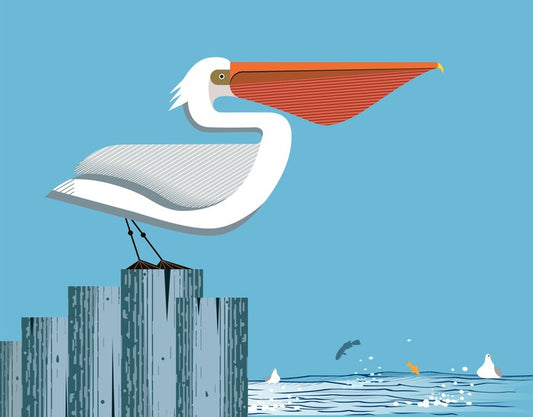 Pelican perch