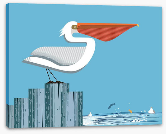 Pelican perch