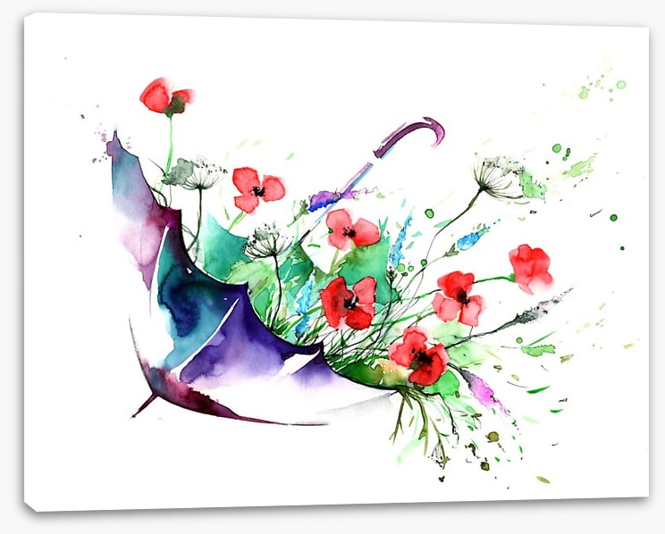Poppy shower
