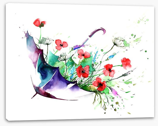 Poppy shower