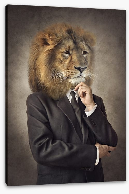 Mane decision maker