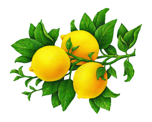 Three lemons