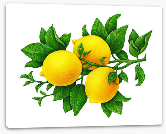 Three lemons