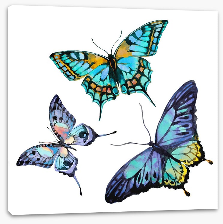 Butterflies