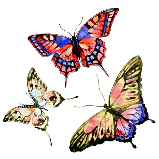 Butterflies