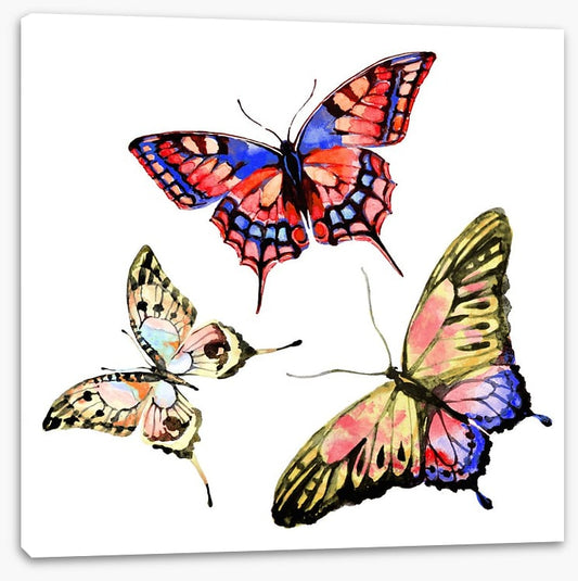 Butterflies